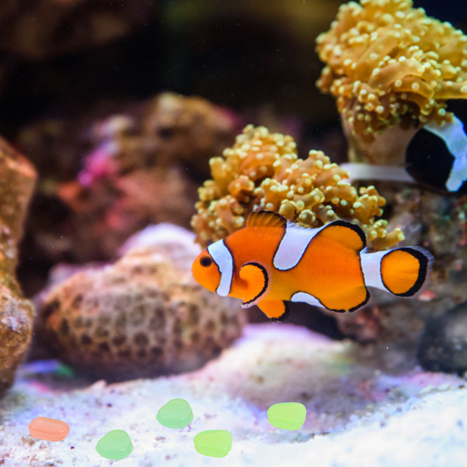 400個入り光る夜光小石、水槽用石、庭の景観装飾、屋外装飾、 - Aquarium Fish Glow In The Dark のレビューと価格