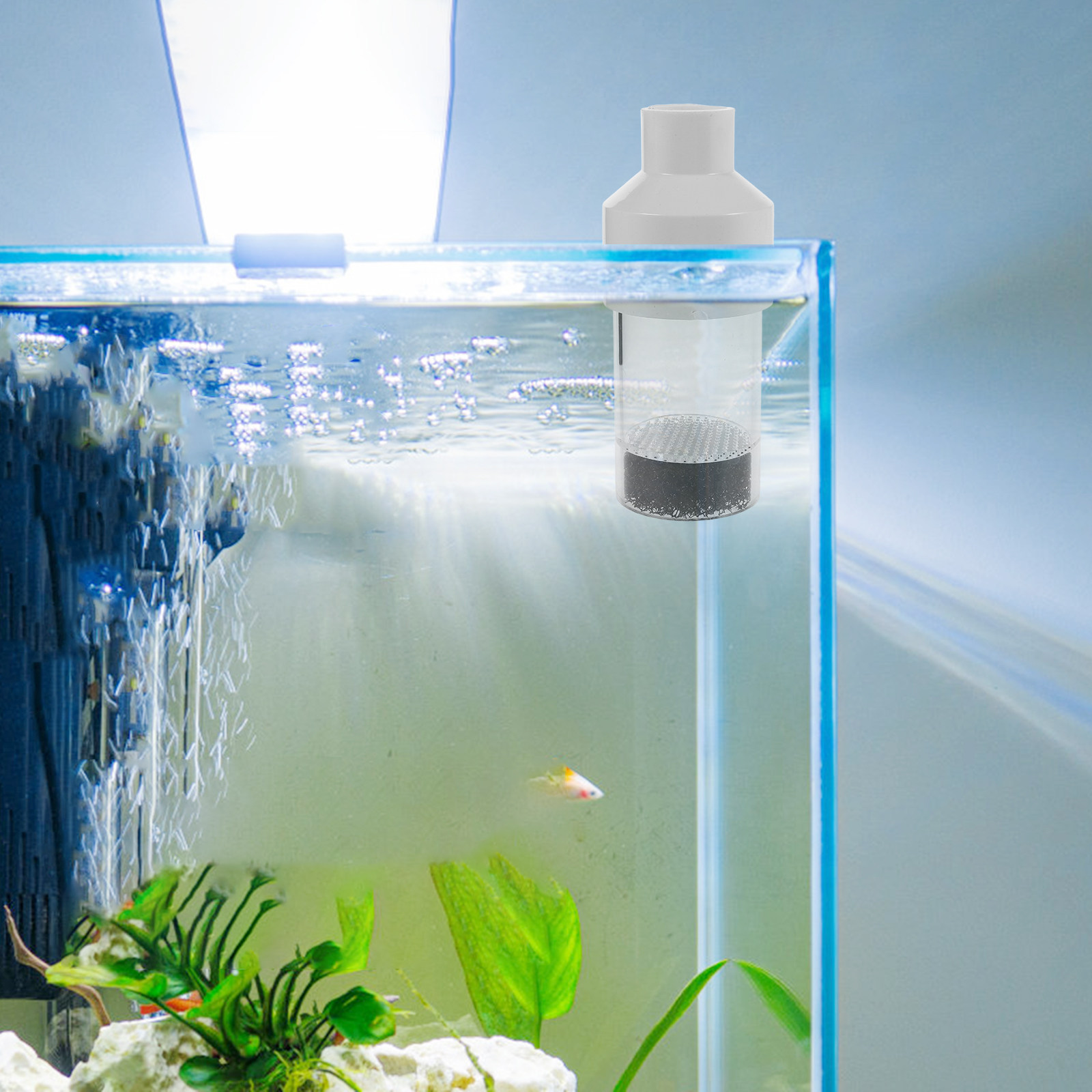 魚類孵化器 50mm アクアリウム用卵回転器 シクリッド魚の - Aquarium Fish Eggs のレビューと価格