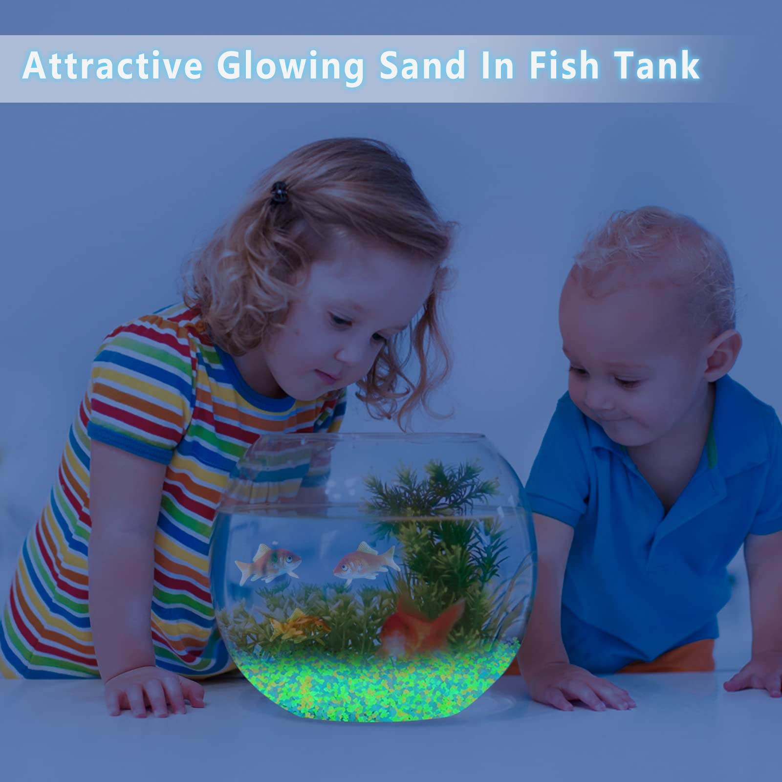 1000個の夜光砂、暗闇で光る小石、家の庭、屋外の小道、芝生 - Aquarium Fish Glow In The Dark のレビューと価格