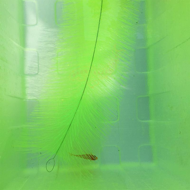 鯉の卵孵化用育成草、金魚養殖用濾材、ペット用品、水槽設備 - Aquarium Fish Eggs のレビューと価格