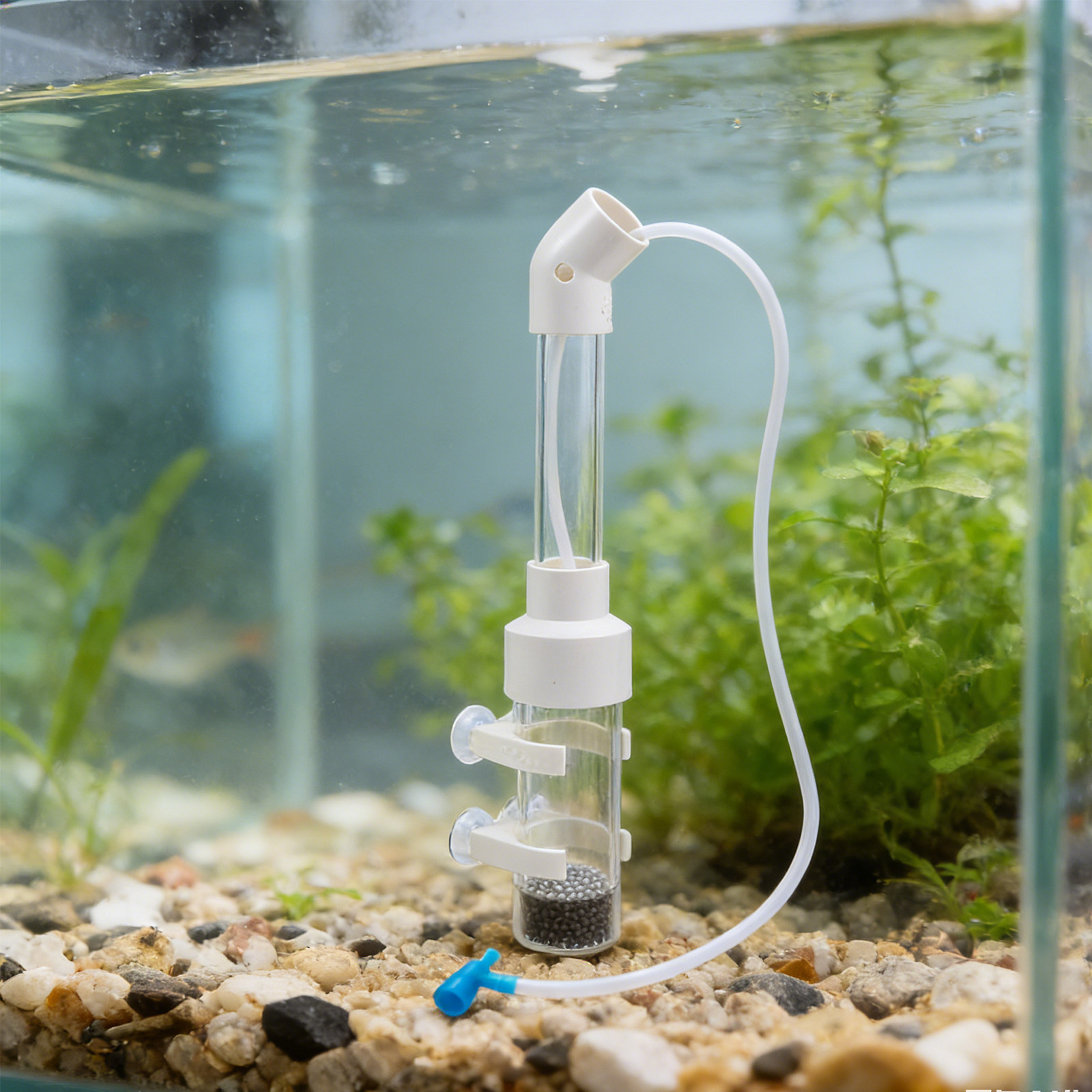 2セット 魚卵孵卵器キット 40mm 自動透明卵タンブラー孵 - Aquarium Fish Eggs のレビューと価格