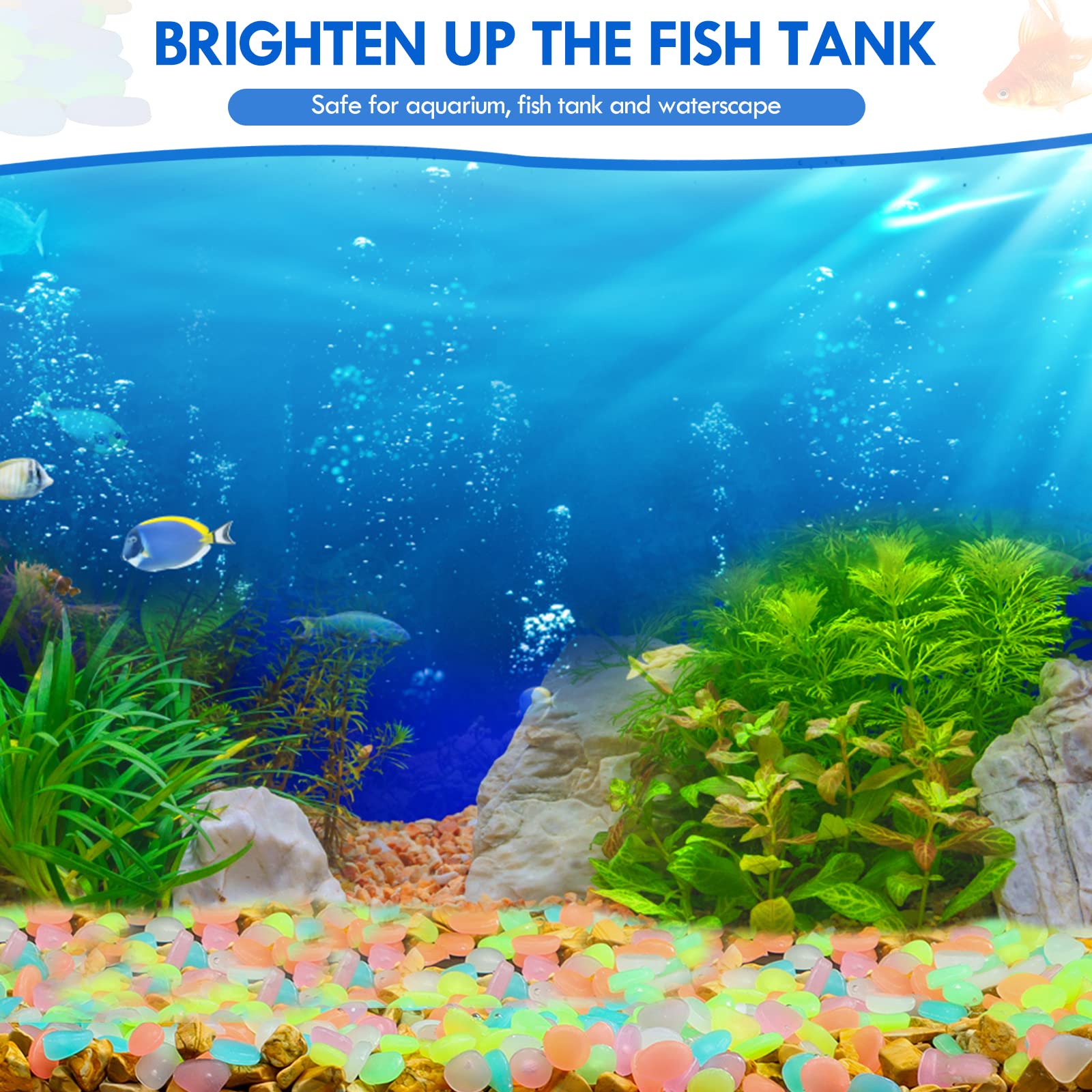 100 個暗闇で光る庭の小石歩道ガーデンテラス芝生庭パティオ - Aquarium Fish Glow In The Dark のレビューと価格