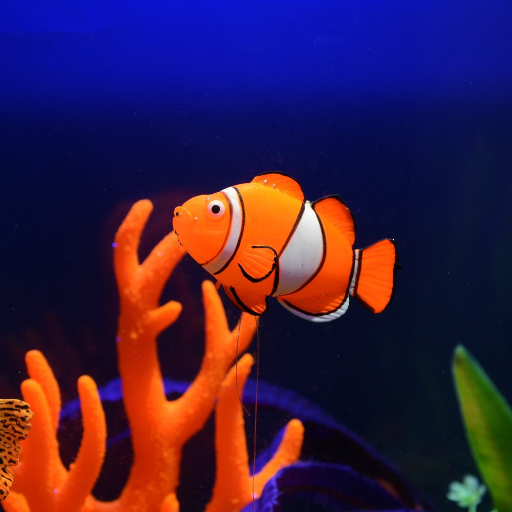 暗闇で光る発光シリコン製魚水槽飾り クラウンフィッシュタンク - Aquarium Fish Glow In The Dark のレビューと価格
